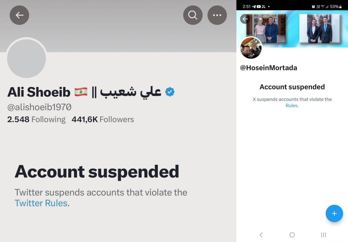 Ali Shoeib, who is effectively Hezbollah's main media correspondent and Hussein Mortada, another journalist who is a Hezbollah and Pro-Assad forces supporter, have been suspended on X