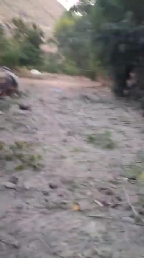 Esta é a situação em Tayr Falsay após os ataques israelenses que atingiram a cidade durante a noite.