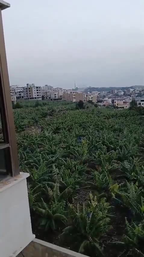 A drone strike targeting the village of Qanarit in southern Lebanon, moments ago.