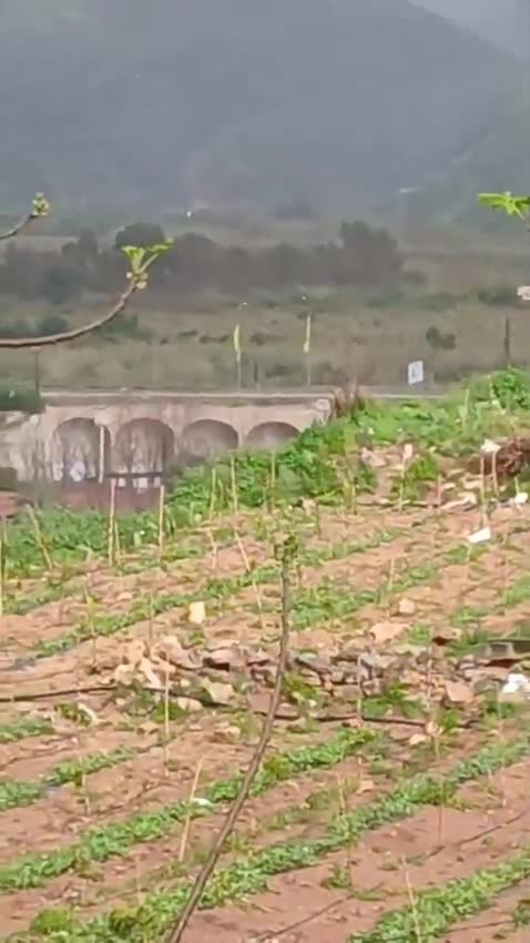 A video circulating online shows another angle of the violent Israeli airstrike that targeted the Qasmiyeh Bridge in southern Lebanon.