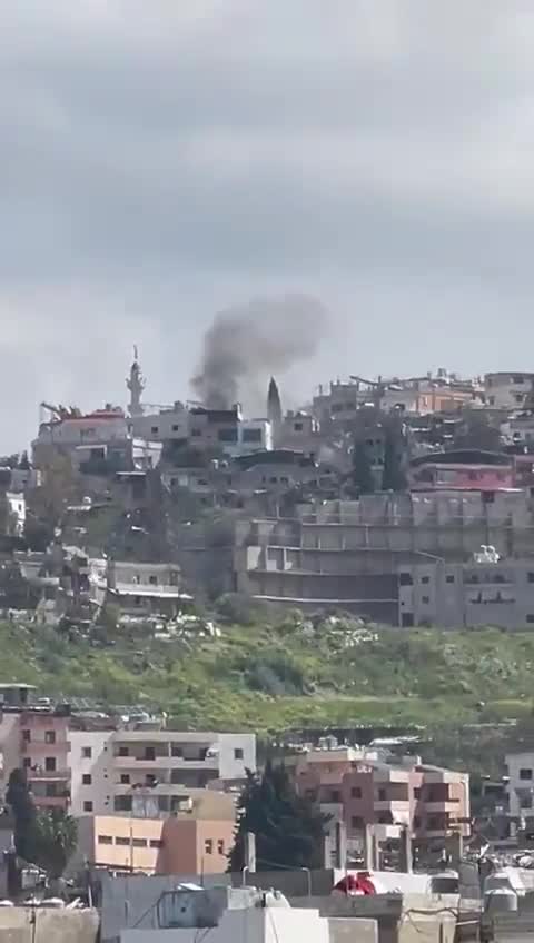 Airstrike targets a house in Miyeh Miyeh - Sidon