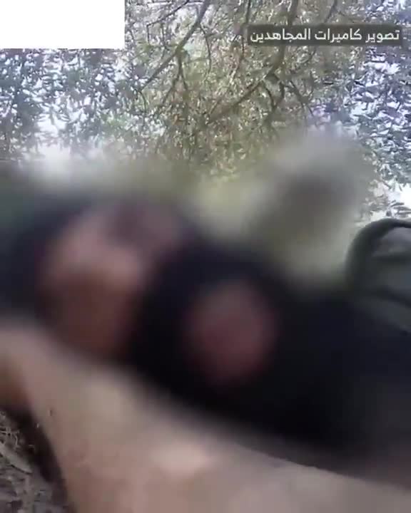 The Israeli army releases a video of the airstrike that targeted Beirut's southern suburbs