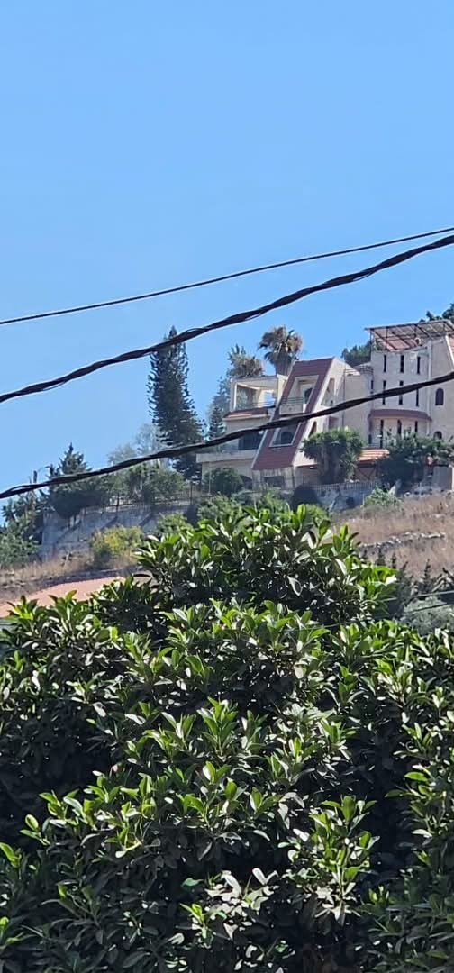 Drone-aanval in Nabatieh
